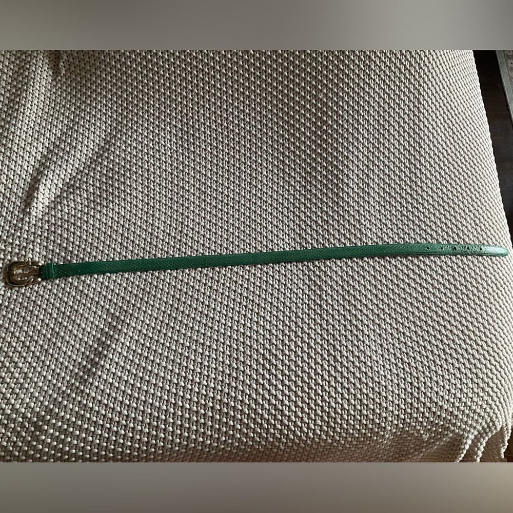 Green Snakeskin Leather Belt with Gold Buckle - Picture 2 of 5